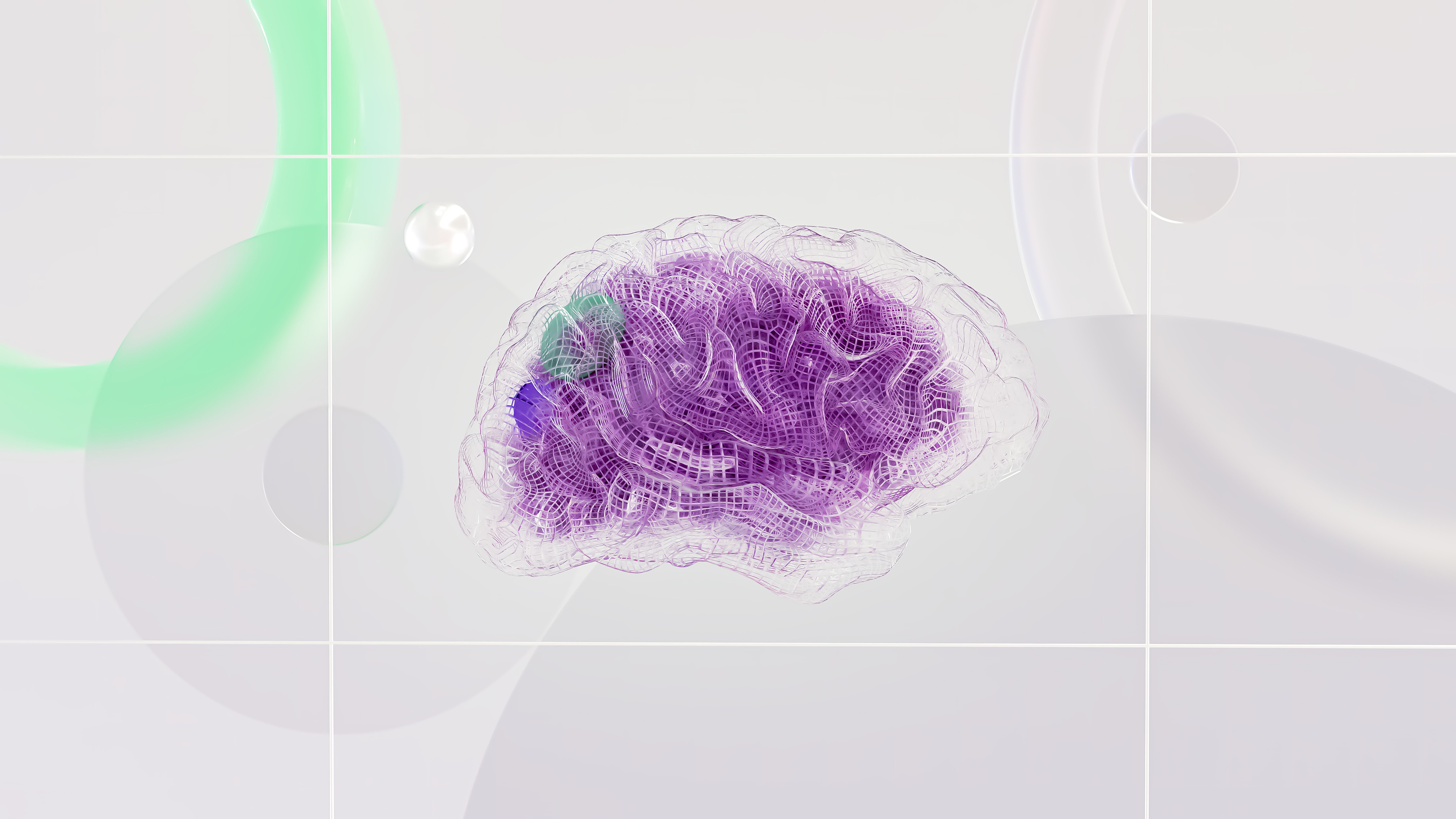 Brain